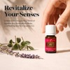 Young Living Aceite esencial R C de Essential Oils de