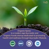 ORGANIC SPREE ORGANIC SPREE Gokshuradi Guggulu 120 Tablets - Ayurvedic