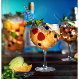 HALM Glass Straws Sauf Sayings Edition 6 x 20 cm with Engraved Drinking Sayings in German Straw Straw Glass Straw Gin and Tonic Gift