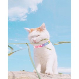 Petank Breakaway Cat Collars for Girl Cats, Bling Kitten Collar with Bell, Cute Cat Collar with Bells, Pink Cat Collar, Rhinestone Cat Collar. (Pink)