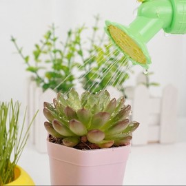 Flower Cap Head PET Bottle Planter for Gardening Self-Watering 17ea