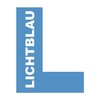 LICHTBLAU Door Hinge Metal Hinge 171269 Window Hinge for Porthole