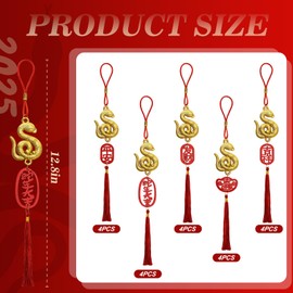 20 Pcs 2025 Chinese New Year Snake Lucky Charms Red Hanging Chinese New Year Feng Shui Decor Oriental Good Luck Charms for Home Wealth Success Good Luck (20, Chinese Characters