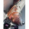 Fishing Gear with PE Line, General Purpose Digital Counter, Bi-Axis