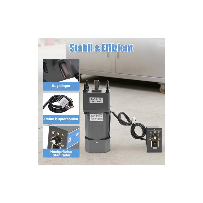 250 W Geared Motor, Electric Motor, AC 220 V Geared