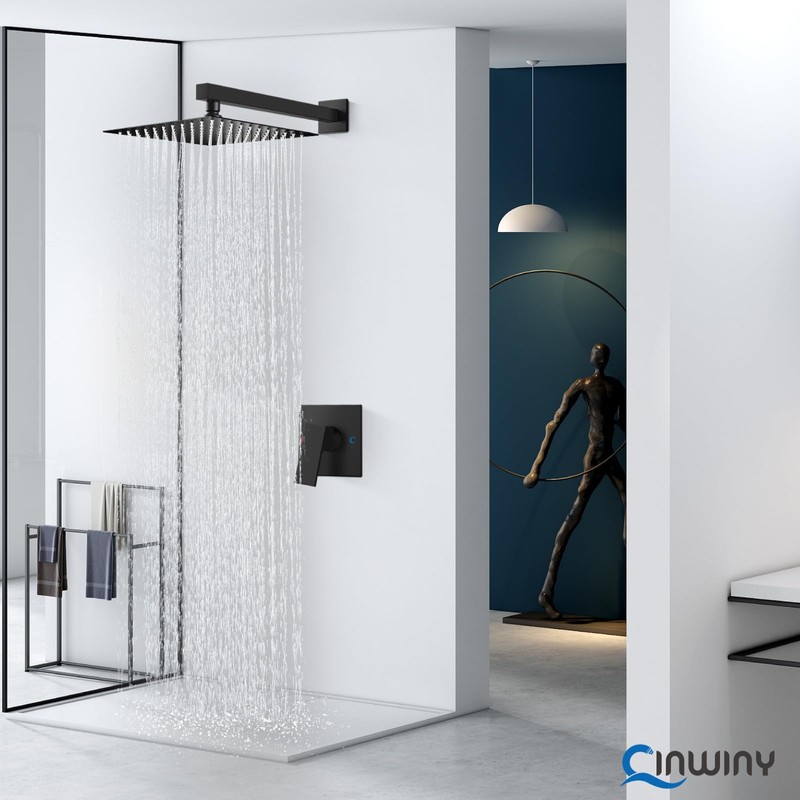 Cinwiny Matte Black 10 inch Wall Mounted Bathroom Rain Shower