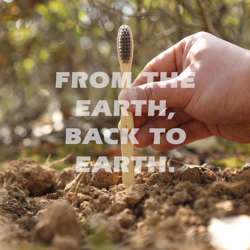 Isshah Biodegradable Eco-Friendly Natural Bamboo Charcoal Toothbrushes, FSC Certified and