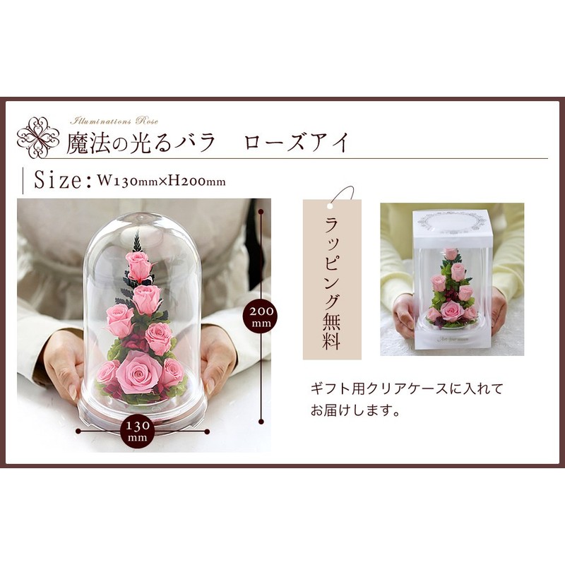 Art Four Seasons ○ Rose Eye "Glowing Rose" Firefly Pink