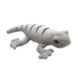 takeoff magnet gecko