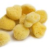 HSD Natural Artists Sea Sponge Pack of 10 Fine Texture