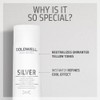 GOLDWELL Dualsenses Silver Shampoo 250 ml