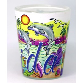Florida Dolphins Big Name Shot Glass New Edition