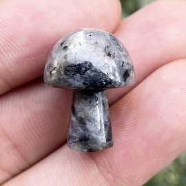 Ladeukoi Ladeukoi 5Pcs Mini Mushroom Shaped Gemstone Statue Figurine, Carved Crystal Stone Mushrooms Crafts for Healing Chakra Reiki Balancing Home Decoration, Black Labradorite