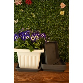 Home Garden Ornaments Saucer Flower Pot Square Anthracite 29 x 29 cm Set of 5 - Durable Flower Pot Saucer Square - Decorative Base for Flower Pots (29 x 29 cm, Anthracite)