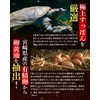 【こだわりの国産原料贅沢配合】黒ニンニクとすっぽんのチカラ 30日分 青森県産黒にんにく 長崎県産すっぽん 熊本県産卵黄油 サプリ 瀬戸内海産牡蠣エキス 島根県産シジミエキス 和歌山県産完熟梅 亜麻仁油
