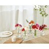 Mkono Propagation Vases for Plants, Set of 5 Small Glass