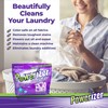 Powerizer Complete Laundry Powder Detergent & Multipurpose Cleaner | 1