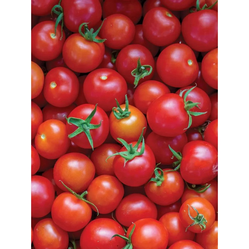 Burpee Super Sweet 100 Hybrid Tomato Vegetable Seed Full Sun