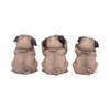 Nemesis Now Three Wise Pugs 8.5cm, Resin, Fawn