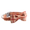 Lionet Paws Dog and Cat Collar with Bowtie Grid Collar