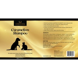 Lexelium Dog Shampoo for Itchy Skin - Infused with Caramel & Herbal Extracts for Dry and Itchy Skin Relief - Veterinarian Formulated Anti-Itch Shampoo for Dogs & Cats (250 ML)