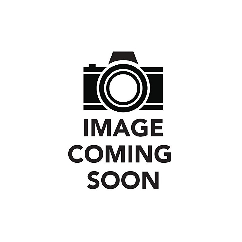 Chihuahua Greeting Card