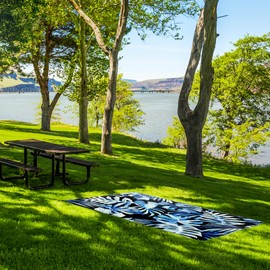 Tommy Bahama Outdoor Waterproof Picnic Blanket - Lightweight Portable Design with Carry Strap - Perfect for The Beach, Park, Camping, Concerts and More, 50" x 70"