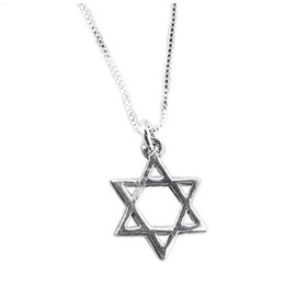 Dainty Sterling Silver Star of David Charm Necklace, 16-Inch