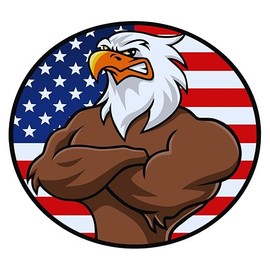 Set of 3 - American Eagle Patriotic Flag Decal Sticker, Round Design,Auto, Wall, Laptop, Cell, Truck Sticker for Windows, Cars, Trucks,Or Any Smooth Surface