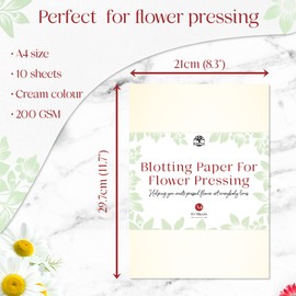 XL Blotting Paper for Flower Press by Berstuk® • Extra-Large 14.7 x 11.2 inch Flower Press Paper • Highly Absorbent and Reusable Herbarium Paper • Pack of 15 Blotter Paper Sheets
