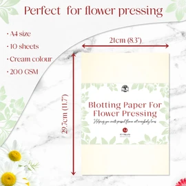 XL Blotting Paper for Flower Press by Berstuk® • Extra-Large 14.7 x 11.2 inch Flower Press Paper • Highly Absorbent and Reusable Herbarium Paper • Pack of 15 Blotter Paper Sheets