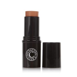 Rapid Transport C Infused No Transfer Foundation (Shade #2 - Medium)