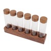 Coffee Bean Storage Tubes with Walnut Wood Stand Lid Glass