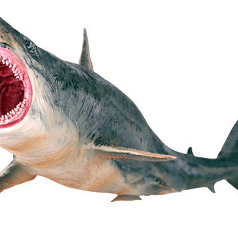 Shark Ornaments Vivid Plastic Engraving Painting Process Decorative Educational Interesting