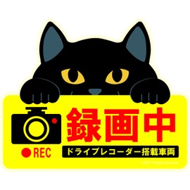 Cute Cat Magnetic Sign Dash Cam Recording Black Cat