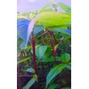 HeirloomSupplySuccess 100 Heirloom Red Mulukhiyah, Molokhia, Egyptian Spinach Seeds