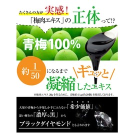 Fukubai Honpo 0% Salt Plum Extract (Plum Meat Extract) Soft Capsules Made in Japan Kishu Nanko Plum (90 Tablets (Approx. 30 Day Supply))