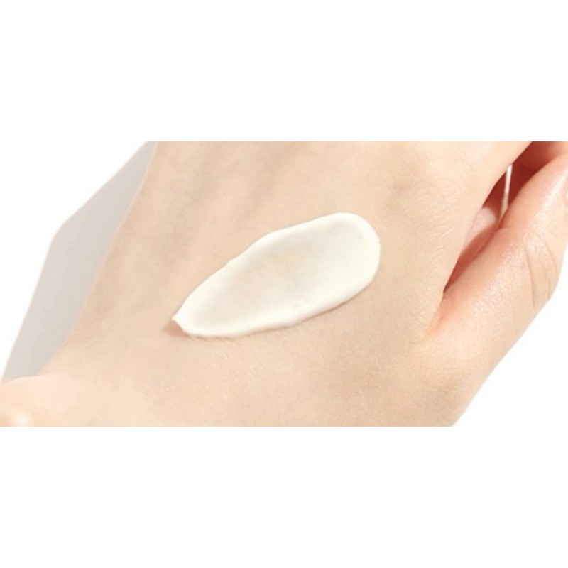 [비건뷰티] 비플레인 선뮤즈 모이스처 선크림 SPF50+ PA++++ x 2p +