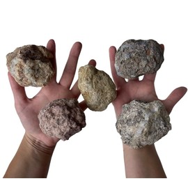 Premium Break Open Your Own Geodes Kit - Wood Gift Box Large 5 ct.