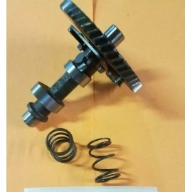 Dyno CL4 Cam Kit w/ Rev Pro Gold 10.8 Springs, All Honda Clones 196cc, Most 212c