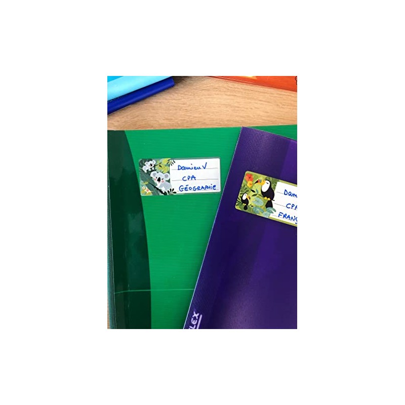 AVERY - 15 Labels for Notebook and School Supplies Fantasy