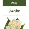 Shortie's Candle Company Pure Jasmine Wax Melts Bulk Pack -