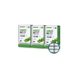 ANGET ORIGIN Enget Origin Ginkgo Max Multivitamin Ginkgo Leaf Extract 90 tablets / 엔젯오리진 징코맥스 멀티비타민 은행잎추출물 90정