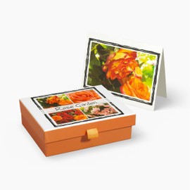 Nabila K Notecard Stationary Sets - Box of 12 Cards & Envelopes - All Occasion Blank Cards for Bridal Birthday Shower Invitations, Thank You Notes, Birthday Cards, or Just Because - Rose Garden