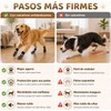 4 Calcetines Antideslizantes para Perros con Tira Reflectante Ajustable,S