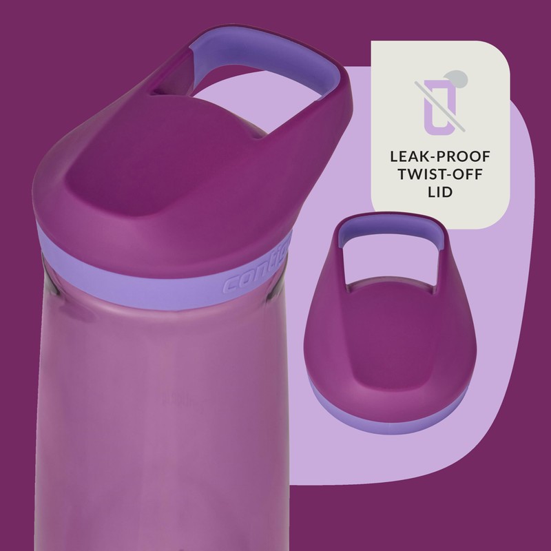 Contigo Micah Water Bottle, 20 oz, Grape/Amethyst