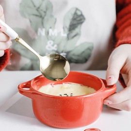 TOPBATHY 1pc Double Handle Bowl Stewpot Stew Pot with Lid Baking Pan with Lid Japanese Soup Bowls Microwavable Soup Bowl with Lid Stew Bowl Baking Dish with Lid Serving Soup Bowls Red