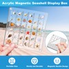 XANGNIER Acrylic Magnetic Seashell Display Box,Clear Sea Shell Display Box,Beach
