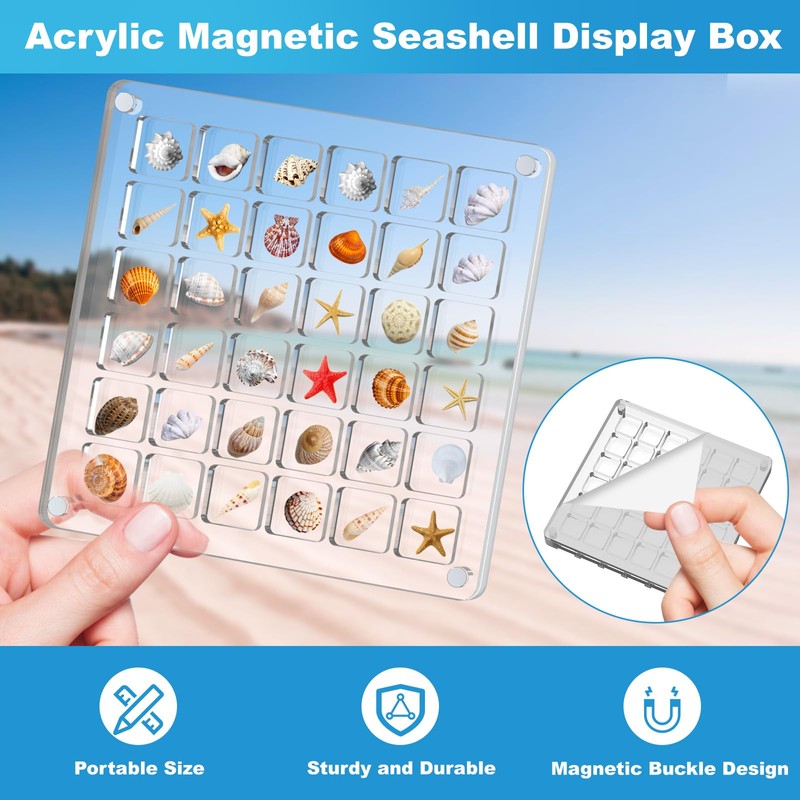 XANGNIER Acrylic Magnetic Seashell Display Box,Clear Sea Shell Display Box,Beach