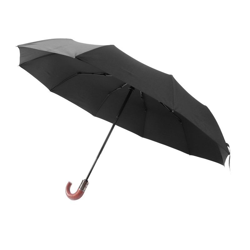 Folding Umbrella 10 Bone UV Protection Auto Open Auto Close